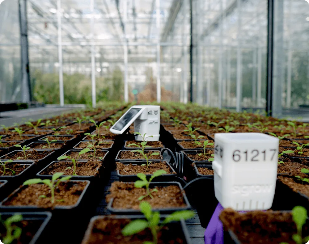 Data Insights & Analysis